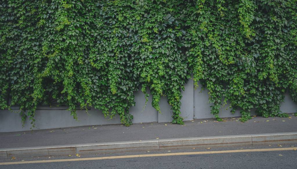Dolenjske občine poostrile nadzor, to morajo poskrbeti občani