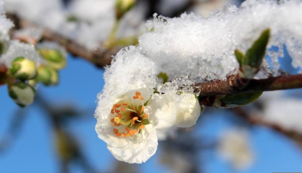 Po dežju sledi občutna ohladitev, kakšno pa bo vreme za kresovanje?