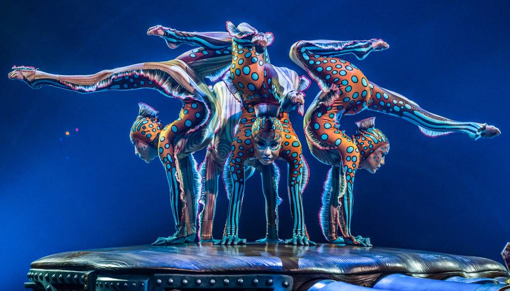 VIDEO: Cirque du Soleil OVO prihaja v Ljubljano, pripeljali bodo čarobni svet žuželk in akrobacije!
