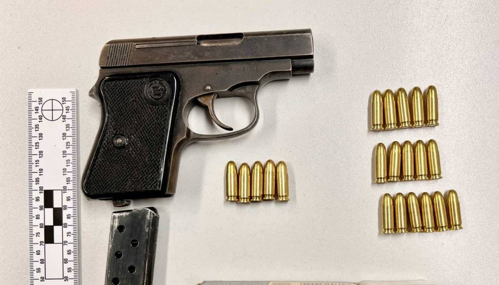 Policija v Grosuplju zasegla orožje in naboje