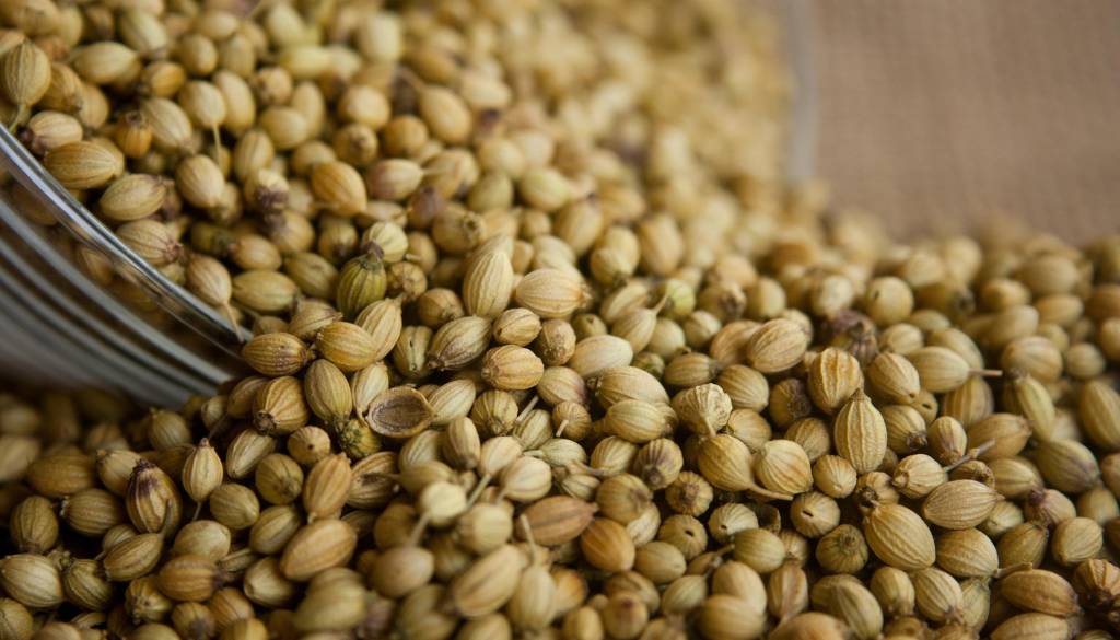 To začimbo takoj zavrzite ali vrnite na mesto nakupa