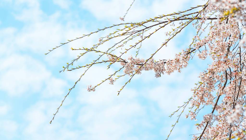 Za praznike tudi nad 20 stopinj Celzija: »Kot bi se vreme želelo odkupiti za nevšečnosti minulih vetrovnih dni« 