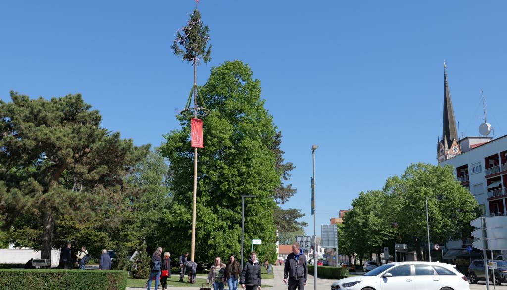 FOTO in VIDEO: Živel prvi maj! V Murski Soboti tradicionalno postavili mlaj