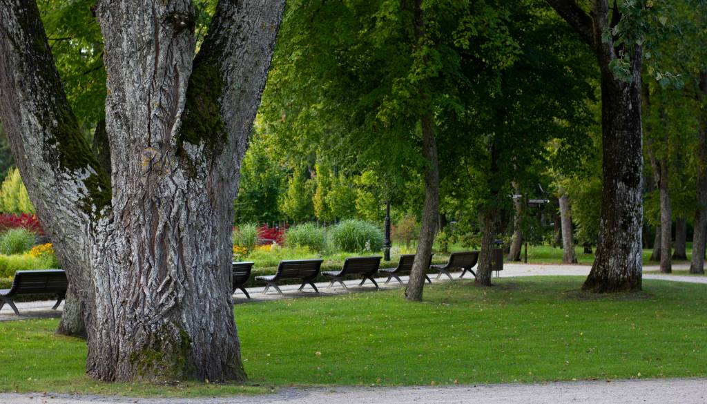 Na priljubljeni izletniški točki našli truplo