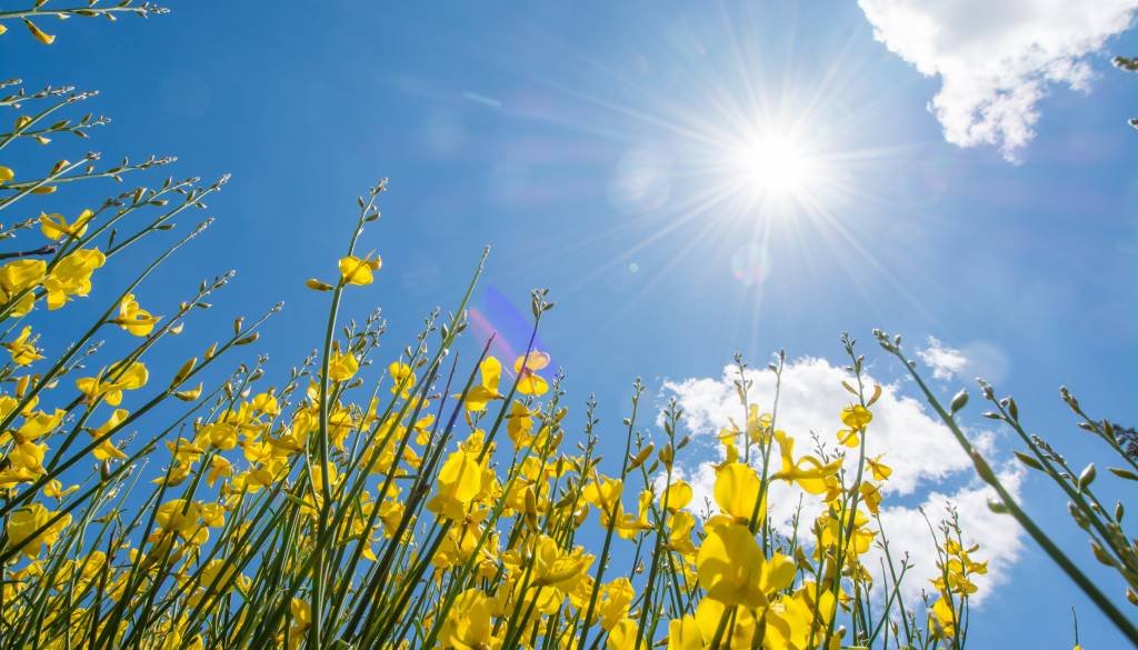 Kakšno vreme se nam obeta? Visoke temperature, popoldne možnost ploh