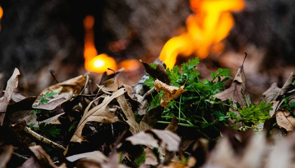 V Puconcih na večji površini gorela podrast in smeti