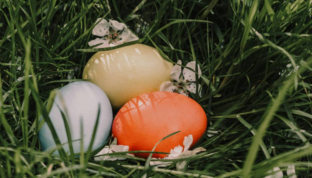 Šokantna najdba med iskanjem pirhov: ne boste verjeli, kaj so odkrili