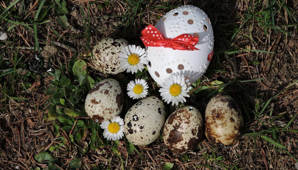 Med velikonočno zabavo odkrili radioaktivno snov, sledila intervencija