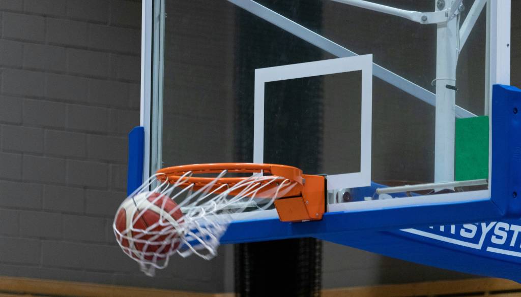 Evropa in ABA liga v znamenju slovenskih predstav