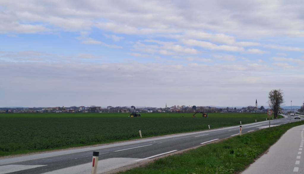 Zakaj so v Murski Soboti odstranili drevesa? To je razlog 