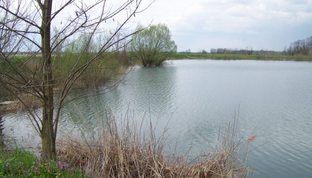 Spor med ribolovom: Moškega porinila v ribnik in ga pretepla