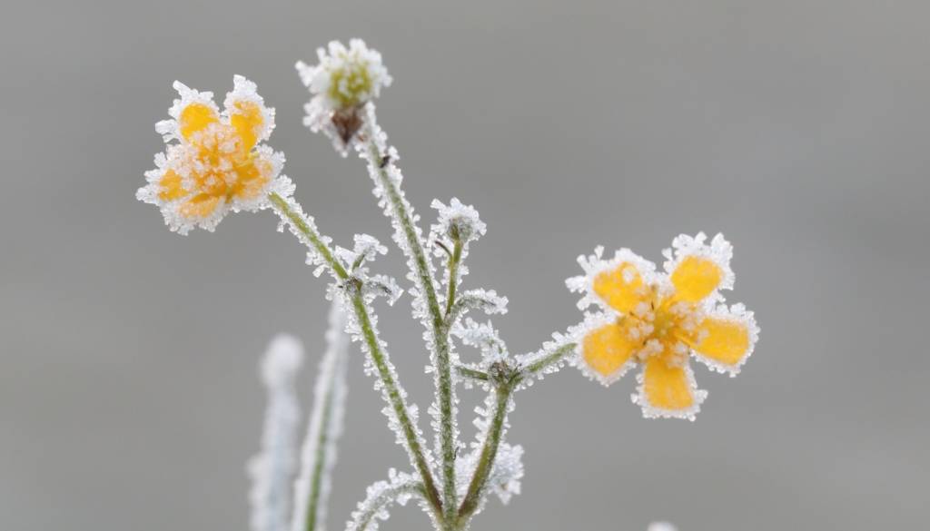Po poletnih temperaturah sledi preobrat: Meteorologi opozarjajo na slano