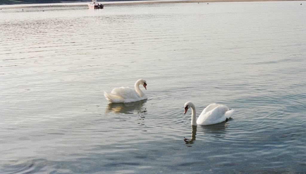 Zbudili smo se v hladno jutro, temperature marsikje pod ničlo