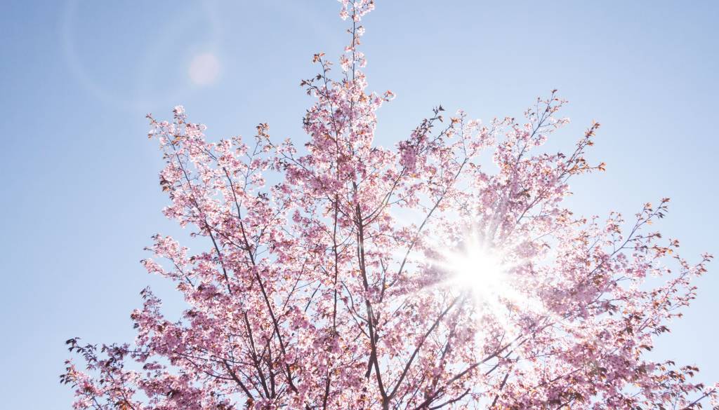 Zjutraj precej hladneje, ponekod tudi minus. Ljubljana je 'pozitivna'