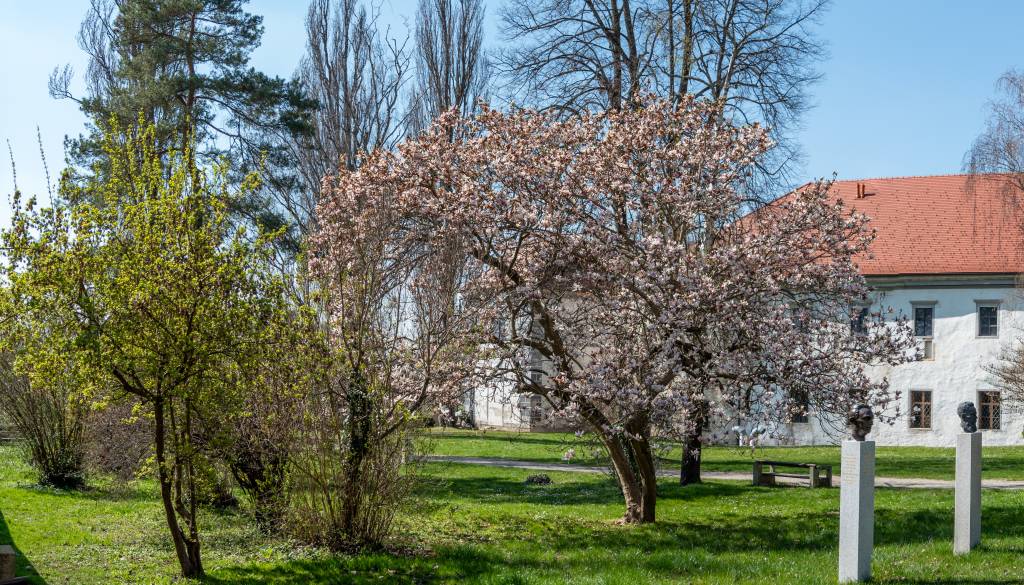 Zjutraj temperature marsikje pod ničlo, čez dan sončno
