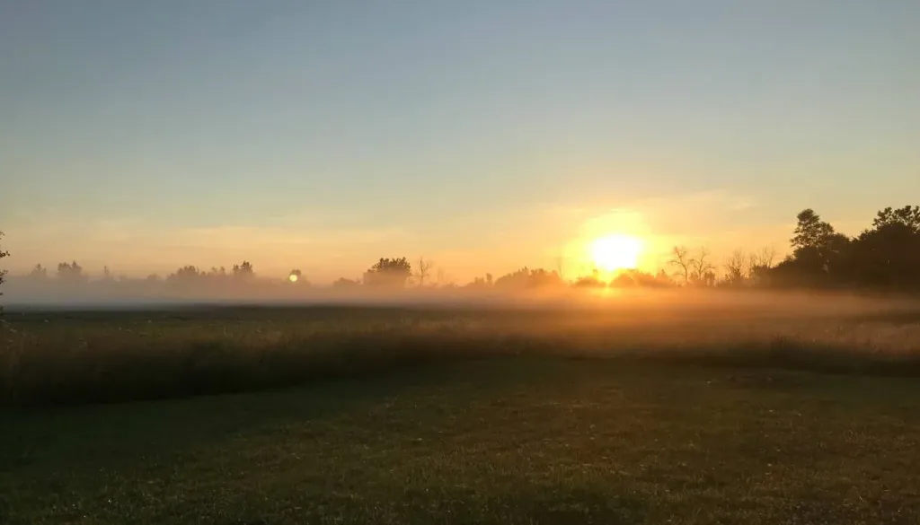 Zbudili smo se v hladno jutro, tudi v Mariboru temperature pod ničlo
