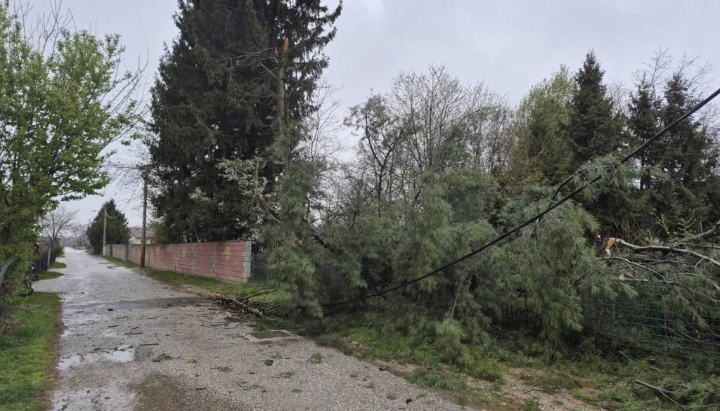 Močan veter povzročal nevšečnosti: Gasilci tudi v naših krajih odstranjevali podrta drevesa