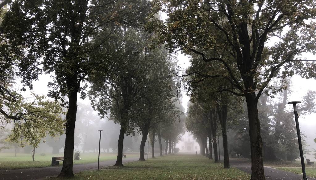 Ledeni možje prinašajo nevihte, slano in celo sneg
