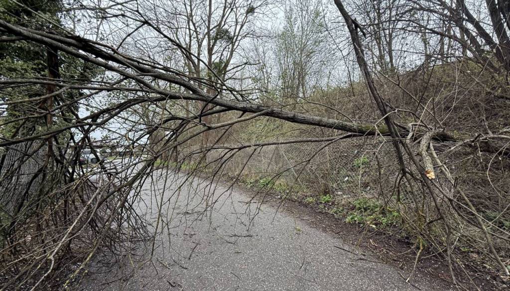 Močni sunki vetra na Štajerskem povzročali težave: Drevesa padala na ceste in objekte