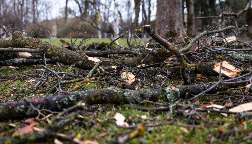 Nevihte in močan veter povzročali težave: Drevesa padala na ceste, veter poškodoval ostrešji