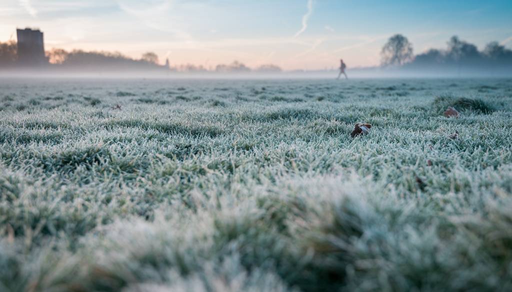 Nenavadno mrzlo majsko jutro, ponekod temperature padle pod ničlo