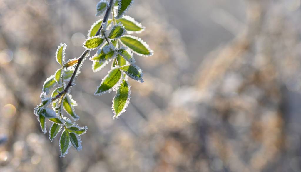 Temperature padle pod ničlo tudi in na Štajerskem