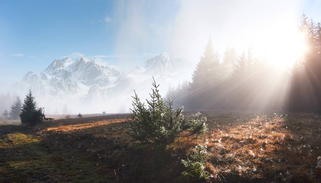 Na Gorenjskem temperature zdrsnile pod ledišče, jutro skoraj zimsko