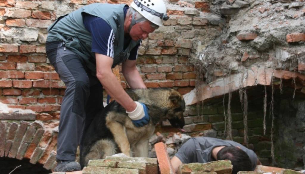 Ljubljana se pripravlja na »veliki potres«: Poglejte, kje vse boste videli reševalce