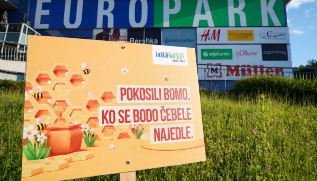 Europark ob svetovnem dnevu čebel spodbuja ohranjanje opraševalcev