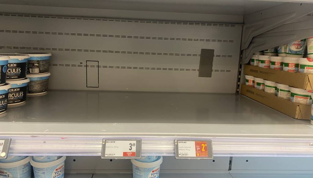 Kam je izginil skyr? 