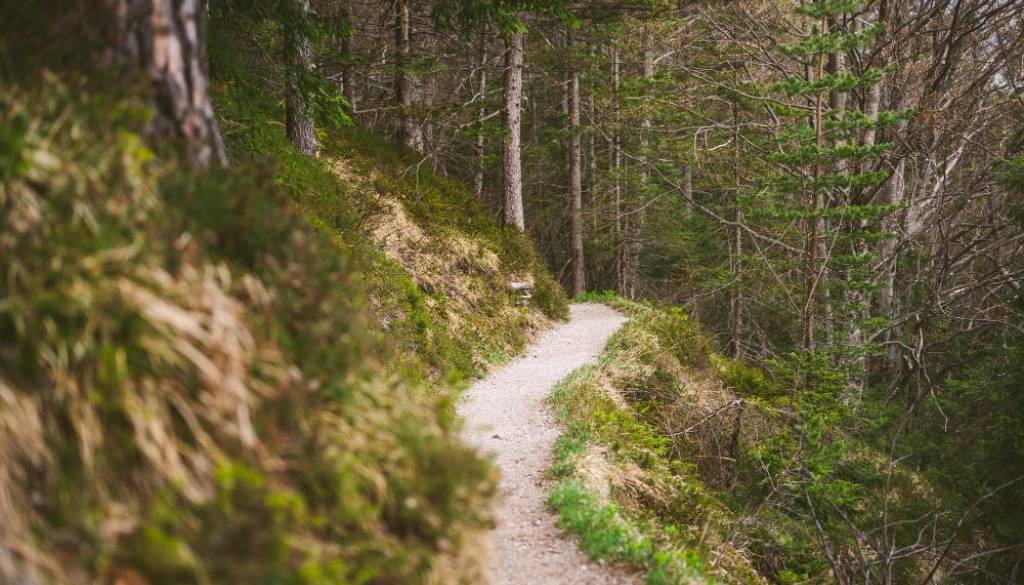 Kaj sodi v nahrbtnik za trail tek
