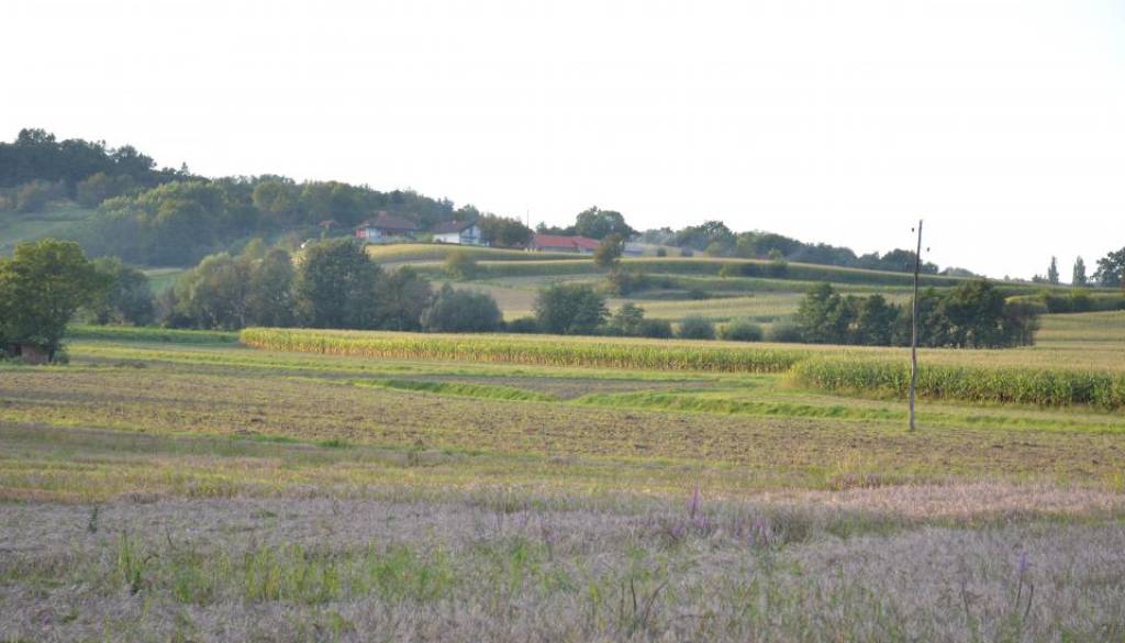 Na Goričkem naprodaj hiše in zemljišča, takšne so cene