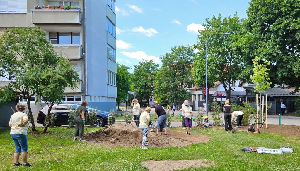 FOTO: Konec divjega parkirišča pri Bureku v Savskem naselju – stanovalci in Zeleni nadzorniki zasadili lipe