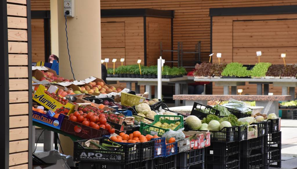 Odhajajoča vlada tik pred menjavo potiho objavila nove prehranske smernice, med stroko burni odzivi