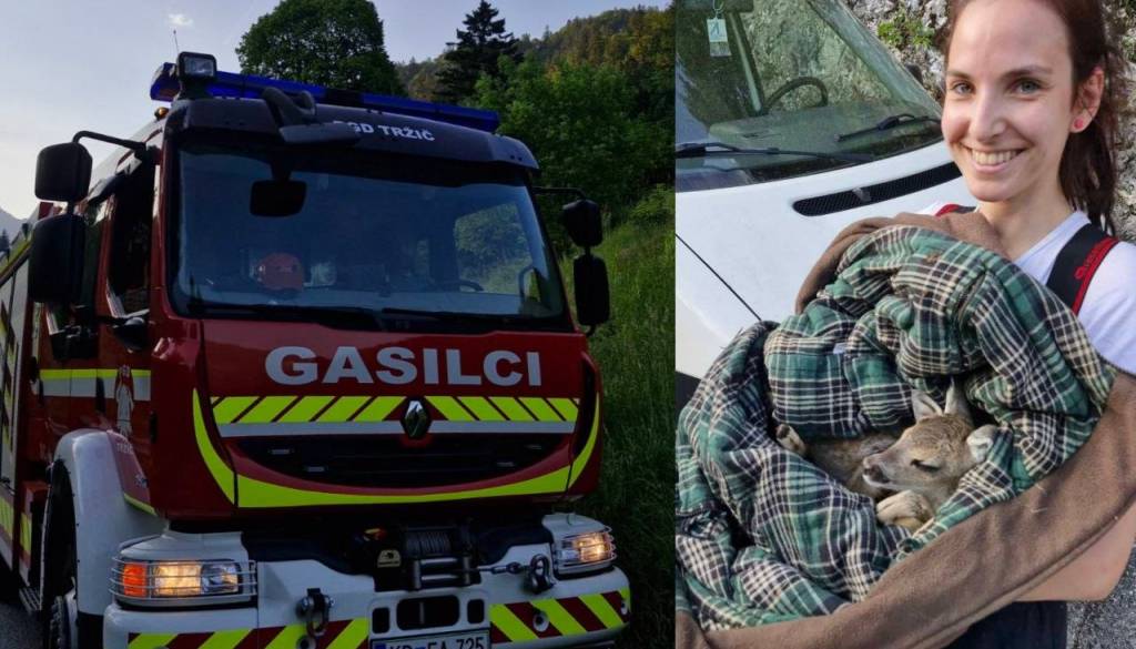 Bravo, tržiške gasilke in gasilci! Živalici padli v prepad in se ujeli v ograjo