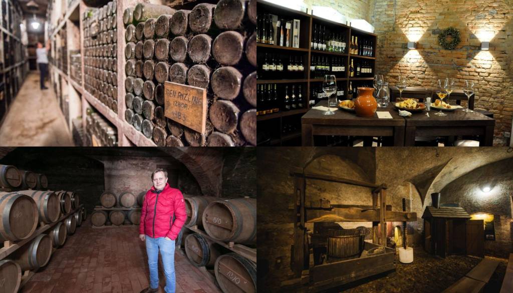 Na zdravje, Ptuj! V katere vinske kleti in vinoteke na degustacijo?