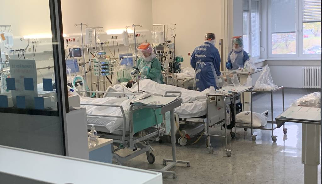 Kaj je smrtonosen virus, ki razsaja na priljubljeni križarki?