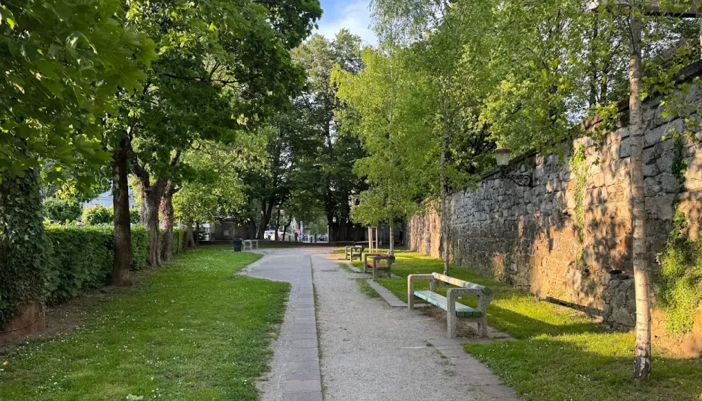 Podgane v Križankah: Lahko ogrozijo poletne dogodke v središču Ljubljane?