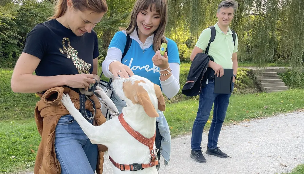 Brezplačne vrečke za pasje iztrebke spet po Ljubljani – preverite, kje in kdaj jih delijo