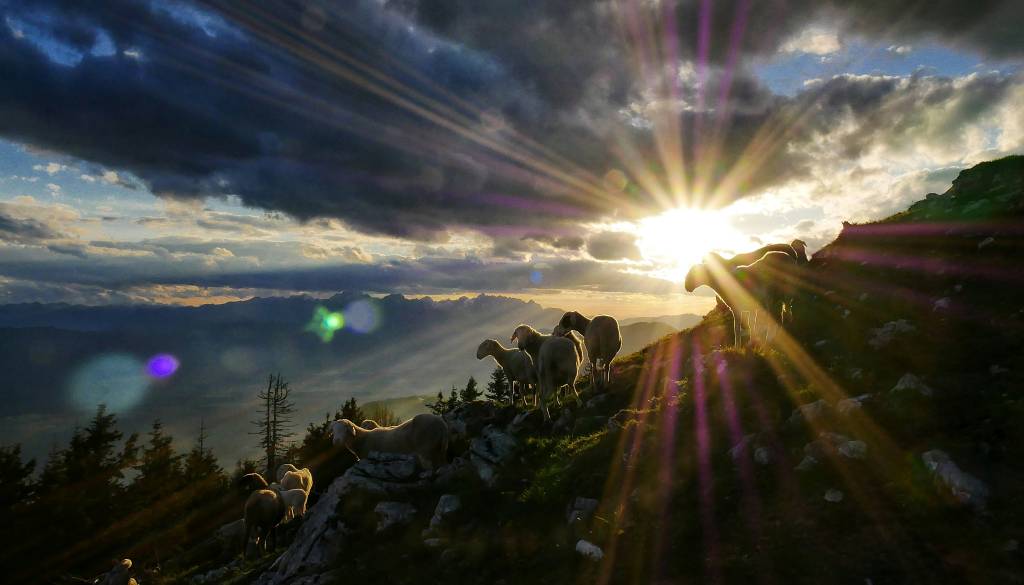 To je oglas za delo, ki je pritegnil pozornost številnih