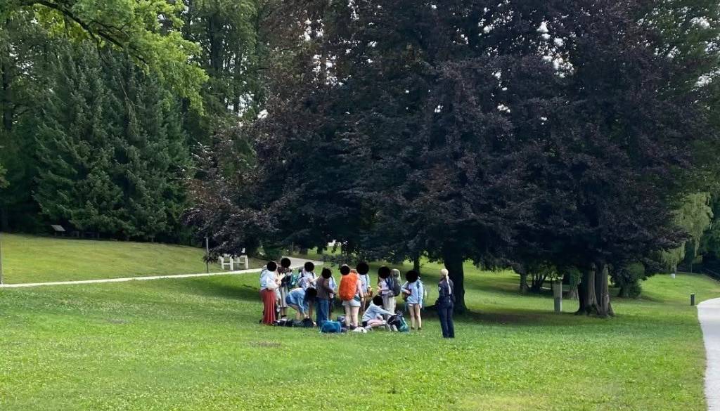 Kaj se dogaja na Bledu? Domačin opozarja na nočno razgrajanje in sprašuje, kje je policija