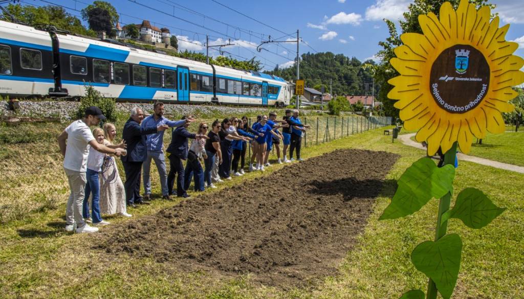 FOTO: Zakaj bodo letos pogledi z vlaka na Dolenjskem drugačni?