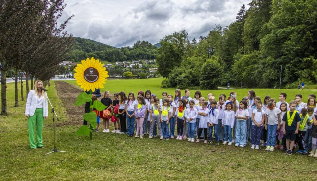 FOTO: Slovenske železnice zasejale 50 kilogramov sončnic po Sloveniji