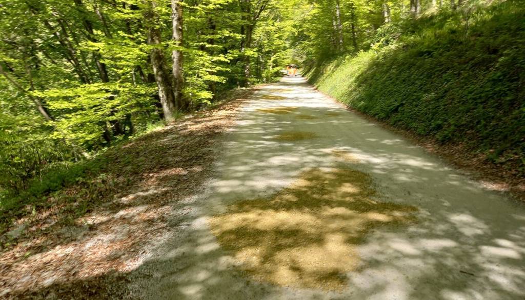 Vse te ceste bo prenavljala dolenjska občina. Marsikatera bo olajšala prevoz skozi kraje