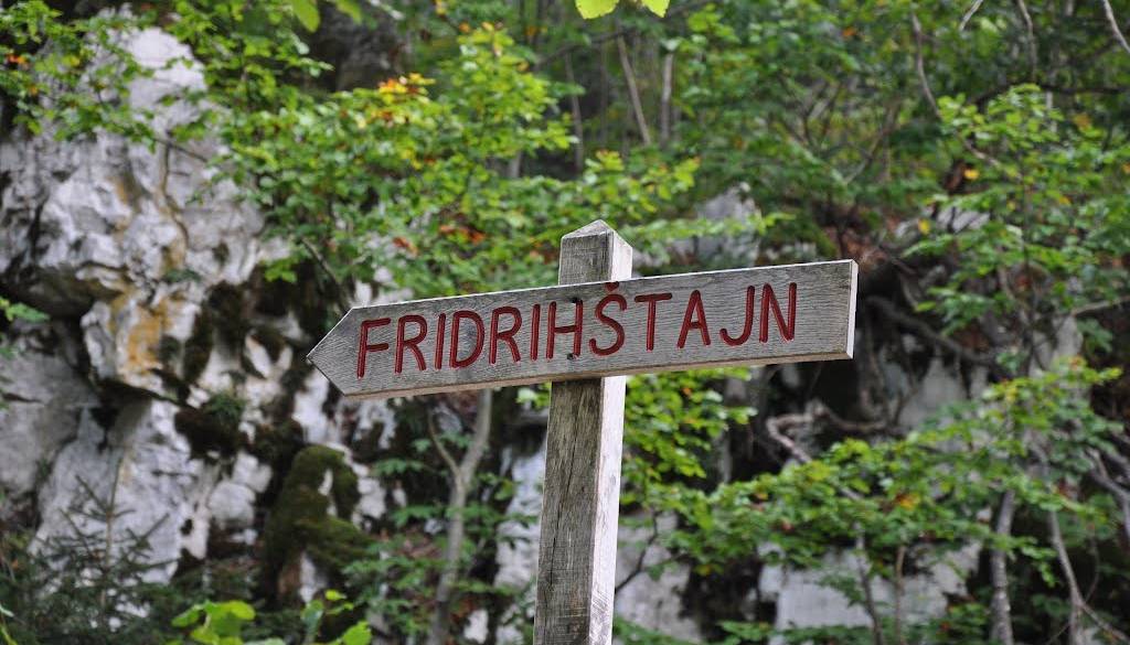 Poškodovana drevesa predstavljajo grožnjo: Zaradi nevarnosti se zapira pot na Fridrihštajn