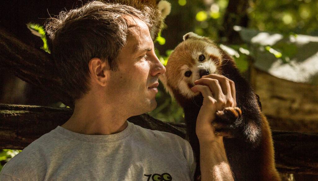 Kritike prenove ZOO Ljubljana: »Spet samo vhod in beton, kaj pa živali in žabe?«