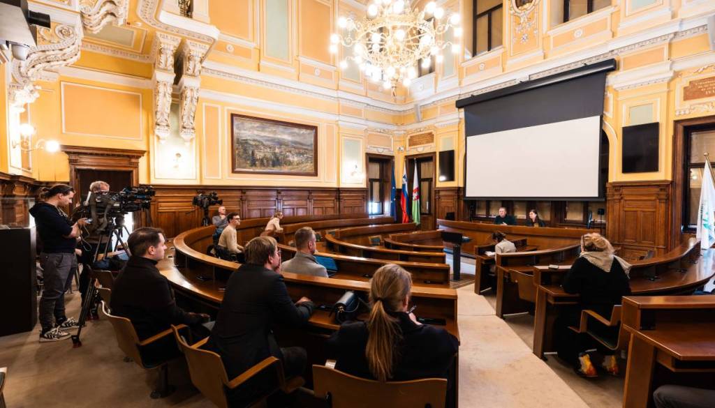 Ljubljančani bodo julija odločali o parkirninah v soseskah