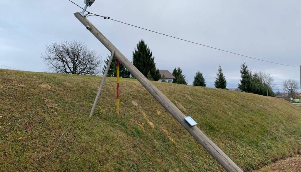 Podrti električni drogovi v Koračicah pokončali sedem govedi