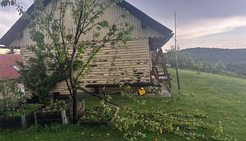Huda ura na severovzhodu države, poškodovan električni vod pokončal devet krav