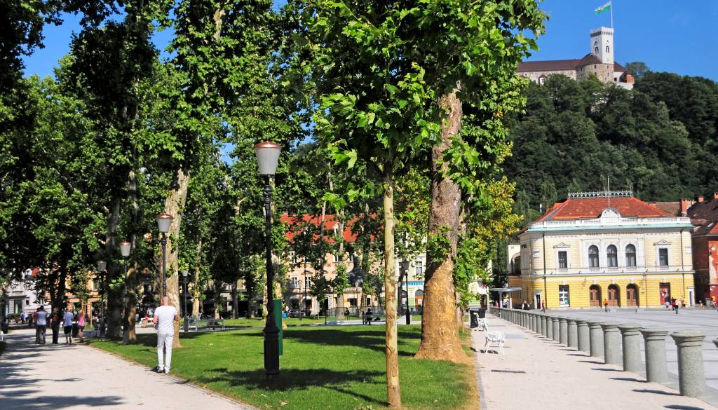 Turisti v središču Ljubljane naleteli na truplo: Po tragediji opozorila o drogah in brezdomstvu